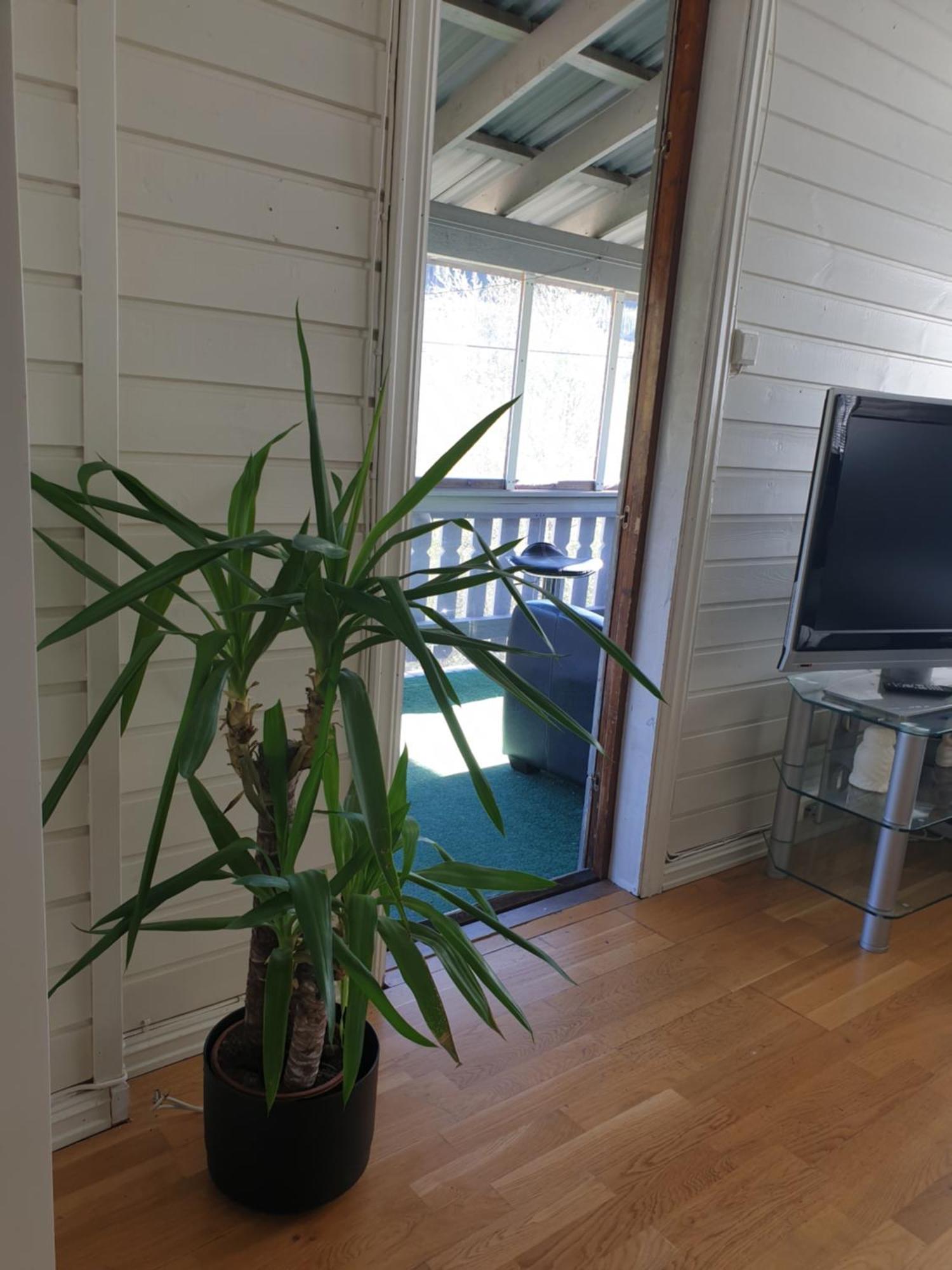 Holiday Home Gol Buitenkant foto